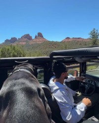 体育投注-布克驾悍马携爱犬出游 独行时光萌宠相伴