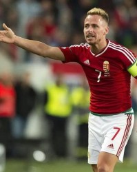 乐鱼APP-今日世预赛：爱尔兰vs匈牙利