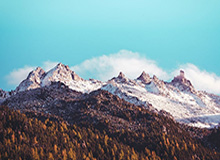 安全平台-九游体育在线:让热爱体育的你在每一刻与赛事同频